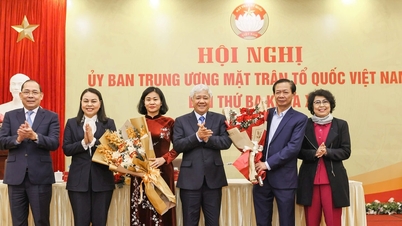 Consultation to elect 2 additional members to the Committee and Presidium of the Central Committee of the Vietnam Fatherland Front, 10th term