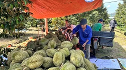 Phát triển kinh tế xanh phải gắn liền với chuyển đổi số