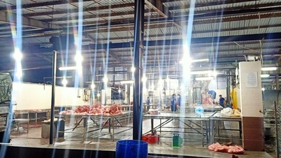 Sớm đầu tư trung tâm chế biến gia súc, gia cầm hiện đại