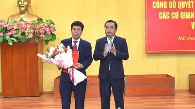 Đồng chí Nguyễn Văn Đoàn giữ chức Phó Trưởng ban Thường trực Ban Tổ chức Tỉnh ủy Hải Dương