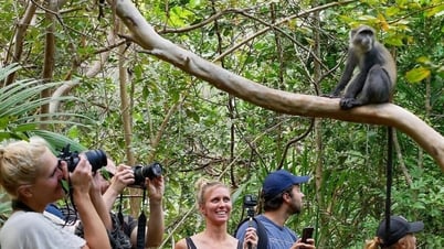Explore the nature reserves in Zanzibar