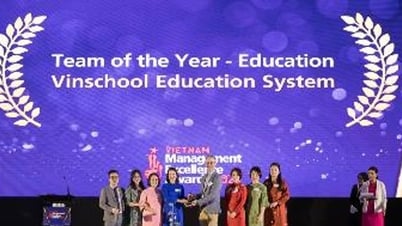 Vinschool ទទួលបានពានរង្វាន់អន្តរជាតិដ៏មានកិត្យានុភាពមួយទៀត 'ក្រុមភាពជាអ្នកដឹកនាំឆ្នើម'