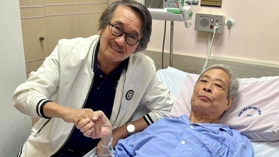 Nhạc sĩ Nguyễn Thụy Kha mắc ung thư, sức khỏe xấu