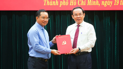ណែនាំជ្រើសរើសលោក Nguyen Van Duoc ជាប្រធានគណៈកម្មាធិការប្រជាជនទីក្រុងហូជីមិញ
