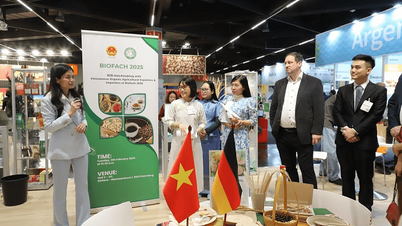 Nhiều mặt hàng Việt Nam có cơ hội “xuất ngoại”