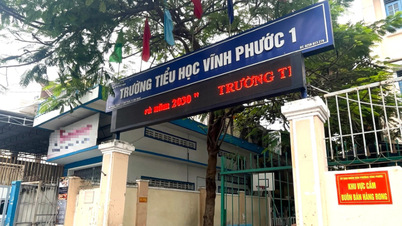 Vụ cô giáo tiểu học 'tố' bị hai cha con lôi ra sân trường: Kiểm điểm 2 cô giáo