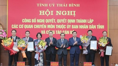 Thai Binh មាននាយកថ្មី និងអនុប្រធាននាយកដ្ឋានថ្មីចំនួន 5