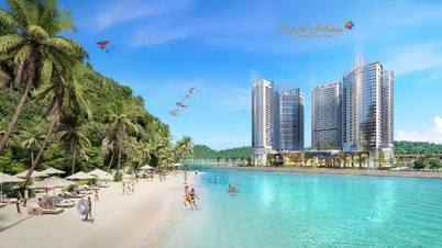 Everland Group стремится создать туристическую экосистему в заливе Байтулонг