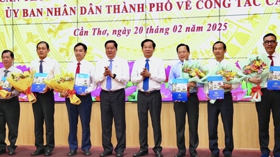 Giám đốc Sở Xây dựng Cần Thơ sau hợp nhất là ai?