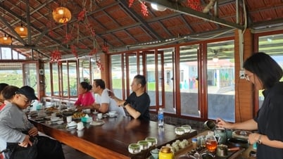 ការកសាងម៉ាកយីហោសម្រាប់តំបន់តែ Hai Ha