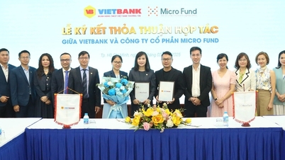 Vietbank ‘bắt tay’ Micro Fund tăng cường số hóa