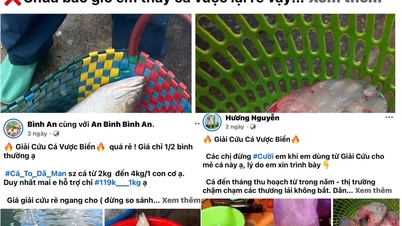Chợ mạng rầm rộ rao bán "giải cứu" cá vược giá rẻ