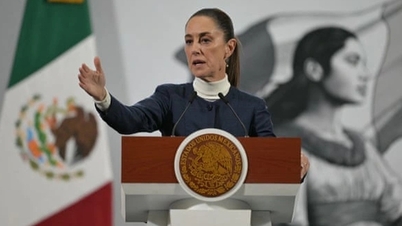 Mexico warns US over 'violation of sovereignty'
