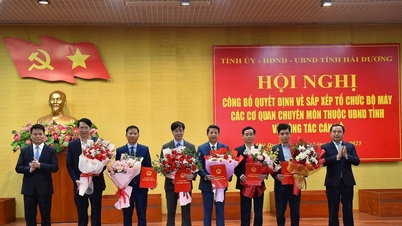 Hai Duong nombra líderes de cinco departamentos fusionados