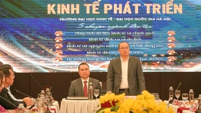 ៥ មុខជំនាញសម្រាប់បរិញ្ញាបត្រផ្នែកសេដ្ឋកិច្ចអភិវឌ្ឍន៍ តាមគំរូអន្តរជាតិ