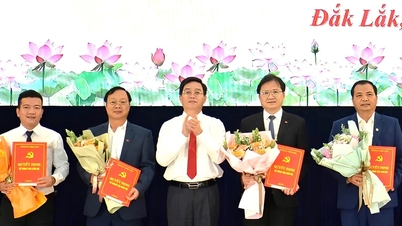 Dak Lak appoints 6 directors of departments and branches after merger