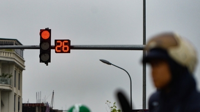 General review of traffic light system