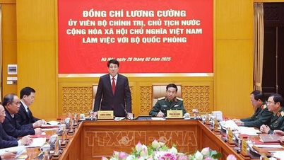 군대는 기본적으로 날씬하고, 단단하고, 강해졌습니다.