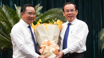 Ông Nguyễn Văn Được làm Chủ tịch UBND TP.HCM