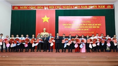 ខេត្ត Quang Binh៖ សេចក្តីសម្រេចបង្កើត និងតែងតាំងប្រធាននាយកដ្ឋានជនជាតិ និងសាសនា