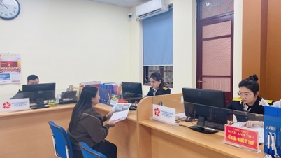 Van Don District: Creating the premise for the next phase