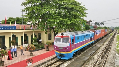 Ministry of Transport submits to the Government the Draft Law on Railways (amended)
