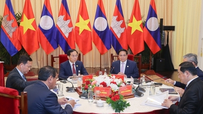 នាយករដ្ឋមន្រ្តីវៀតណាម-កម្ពុជា។