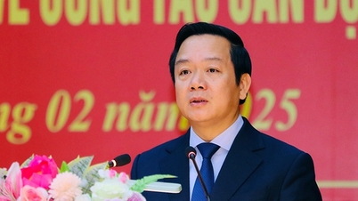 Merging many departments and branches in Ninh Binh