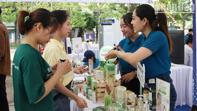 Da Nang popularizes 4 policies on creative startups