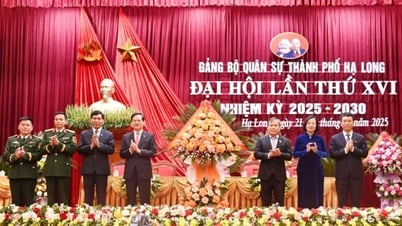 Đại hội Đảng bộ quân sự TP Hạ Long lần thứ XVI, nhiệm kỳ 2025-2030