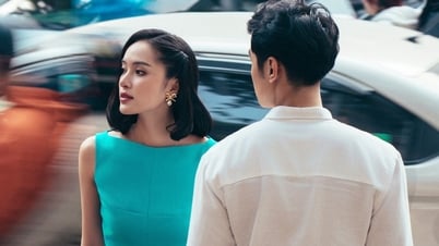 사무실에 녹색을 더하고 업무에 활력을 불어넣으세요