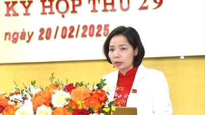 ទីក្រុង Hai Duong ផ្ទេរ​កូតា​បុគ្គលិក​សាធារណៈ និង​បុគ្គលិក​ចំនួន ៩១៣ នាក់ ដោយសារ​ការ​រៀបចំ​រចនាសម្ព័ន្ធ​ឡើងវិញ។