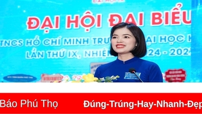 Deputy Secretary of the Youth Union of Hung Vuong University won the Ly Tu Trong award