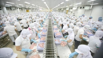 34,9% doanh nghiệp ngành chế biến, chế tạo dự báo tình hình sản xuất kinh doanh tăng