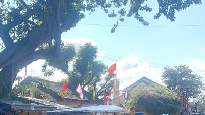 ធុរកិច្ចបានរាយការណ៍ថារថយន្តអគ្គិសនីកំពុងរត់លើផ្លូវខុសក្នុងទីក្រុង Hoi An។