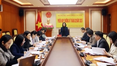 The Standing Committee of the Provincial People's Council held a regular meeting in February 2025