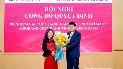 응우옌 비엣 하 여사가 Agribank Tuyen Quang 지점장으로 재임명되었습니다.