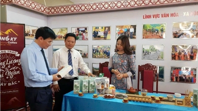Tủa Chùa nâng tầm sản phẩm OCOP