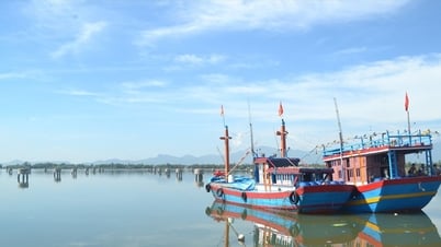Hỗ trợ lao động bị ảnh hưởng Dự án sửa chữa, nâng cấp khu neo đậu tránh trú bão cho tàu cá An Hòa