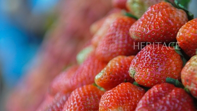Dalat - a breath of sweetness