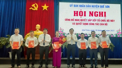 Que Son បានប្រកាសសេចក្តីសម្រេចចិត្តស្តីពីការរៀបចំ និងបរិក្ខារនៃទីភ្នាក់ងារជំនាញក្រោមគណៈកម្មាធិការប្រជាជនស្រុក។