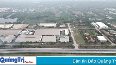 Most industrial clusters do not meet environmental protection requirements.