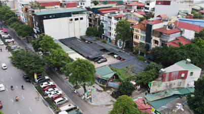 Reorganize and handle office space in Hanoi