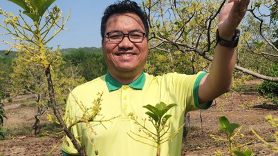 ចៅហ្វាយនាយវៀតណាមបដិសេធប្រាក់ខែ ៧៥លានដុង/ខែ នៅប្រទេសបារាំង ដើម្បីត្រឡប់ទៅផ្ទះធ្វើស្រែចម្ការវិញ។