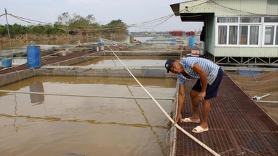 Hỗ trợ người dân, doanh nghiệp khôi phục sản xuất nông nghiệp