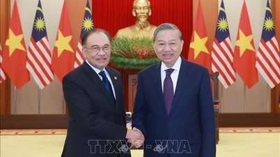 Tổng Bí thư Tô Lâm tiếp Thủ tướng Malaysia Anwar Ibrahim 