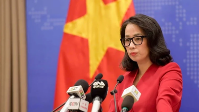 វិធានការ​ត្រៀម​ខ្លួន​ក្នុង​ការ​ការពារ​ពលរដ្ឋ​វៀតណាម​ដែល​ជា​ជន​រង​គ្រោះ​នៃ​ការ​ឆបោក