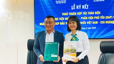 BIDV Phu Yen - BAP បានចុះហត្ថលេខាលើកិច្ចព្រមព្រៀងសហប្រតិបត្តិការលើគ្រប់ជ្រុងជ្រោយរយៈពេល 2024-2029