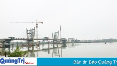 Chuyển mục đích sử dụng hơn 37 ha rừng phòng hộ để làm đường ven biển