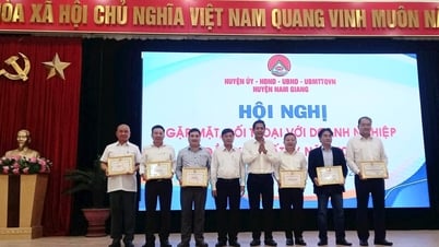 Nam Giang rewards 7 outstanding enterprises in 2024